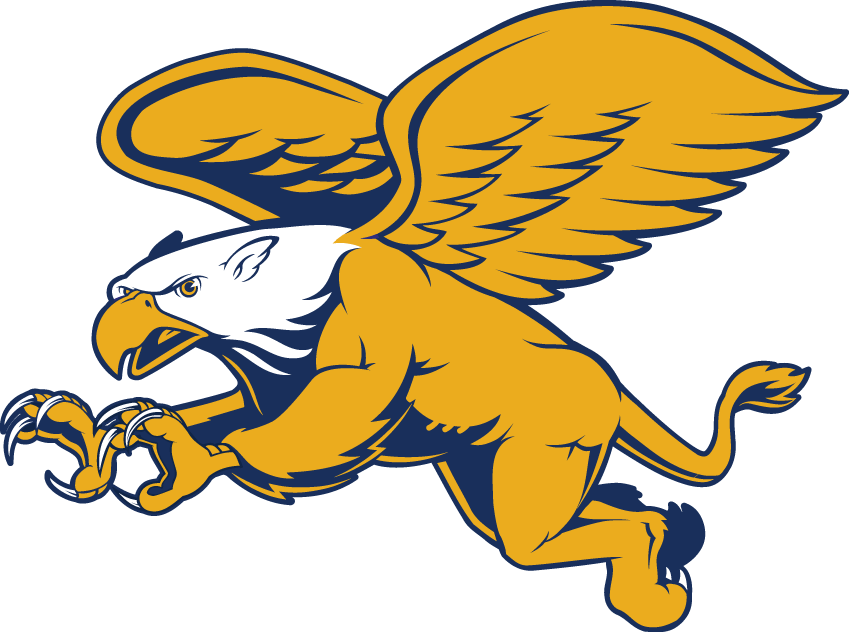 Canisius Golden Griffins iron ons
